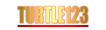 Logo TURTLE123